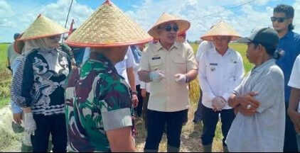 Pemkab Lampung Selatan Ikut Sukseskan Panen Raya Nasional di Sidowaluyo
